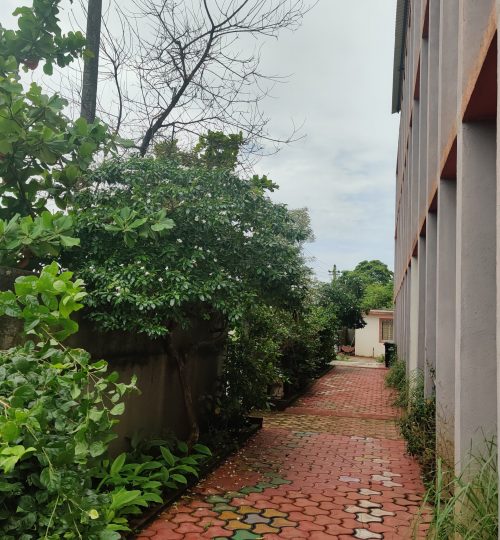Nature around