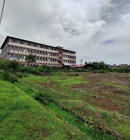 Nature around